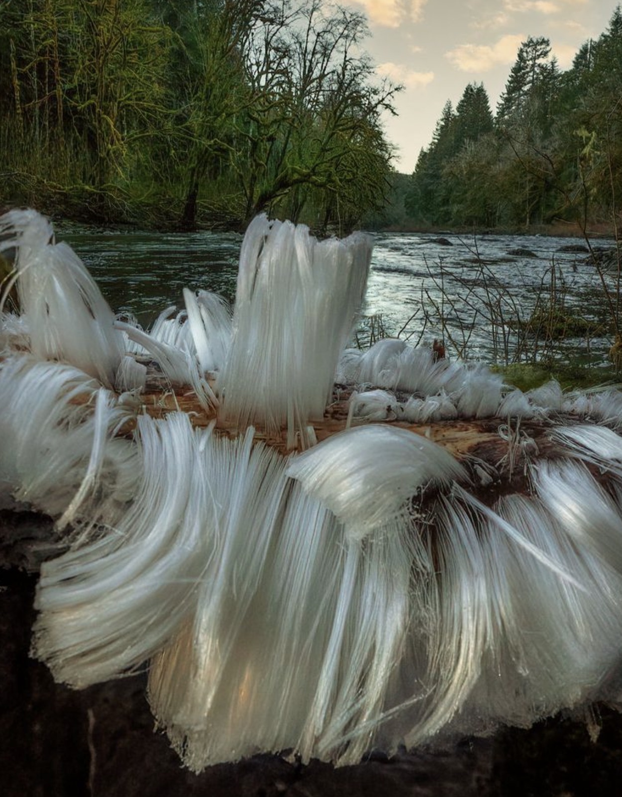 ice that looks like hair